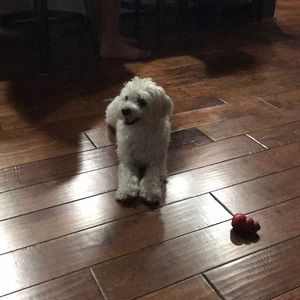 Meet your Posher, Sue